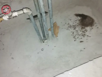 章贡卫生间测漏水价格明细